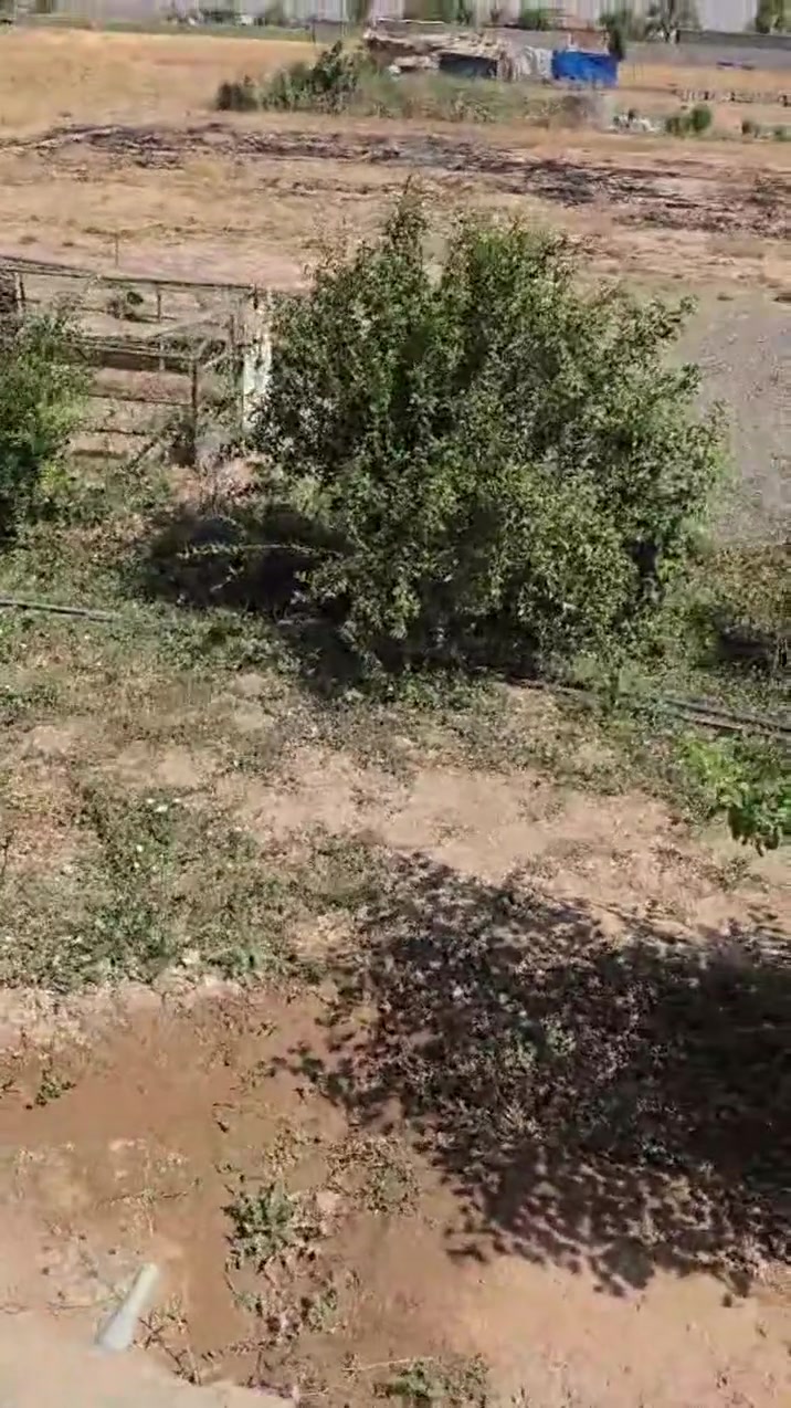 بيت للبيع نصف دونم 1250متر
كركوك حويجه قرب دكتور ياسين 
غرفتين نوم وهول ومطبخ وربعه وصحيات داخلية وخارجيه البيت جاهزبس تسكن 
السعر 60مليون وبيه مجال 
واصل ماء وكهرباء 
***********
