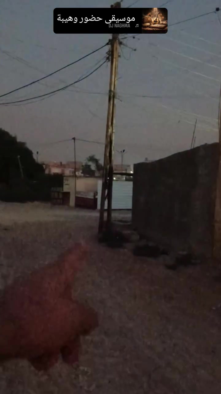 السلام عليكم
الي ماذكرته بالفديو راح اذكره بالوصف
المشتمل موقعه بضهر ابو علي الشمري 
صاير مجاور الجامع الي بالساحه مال المنتزه
يعني يطل عالمنتزه والايجار 250 ومجال بسيط
(لحد يعلق ويراسل) ترا ماجاوب رجاء اتصل وتعال شوفه الفديو كدامك وكل التفاصيل مذكوره والمفتاح عندي
للاستفسار *********** بيه واتساب@
