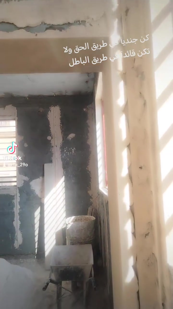 لباخ متفرغ • درجة اولى • لط وجص وبياض