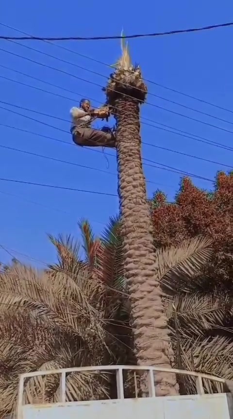 للسفسار اتصل على رقم تالي *********** أو ***********
