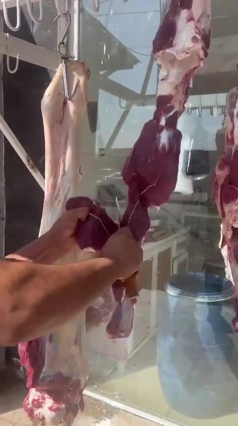 جزارت ال حكم مقابل جامع النور مقابل علوة المخضر مجاور الطبق الساخن رقم توصل و حجز *********** لحم عجل زغير و ما الديره شرط و لحم جمل و لحم طلي باجر أن شاءالله يتوجد لحم باجر السبت أن شاءالله و السعر 13 لحم عجل و الجمل ب 13 و ما عدو ياخد بلاش الله بحيكم
