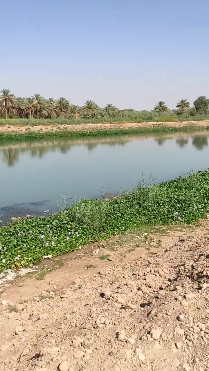 الحلة • ٥ دونم • واجهة شط ٦٠م