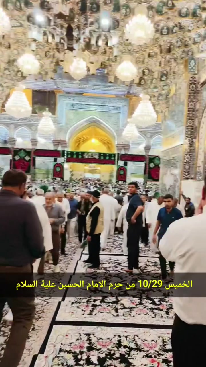 كربلاء • زيارة بالنيابة • ١٣مقعد