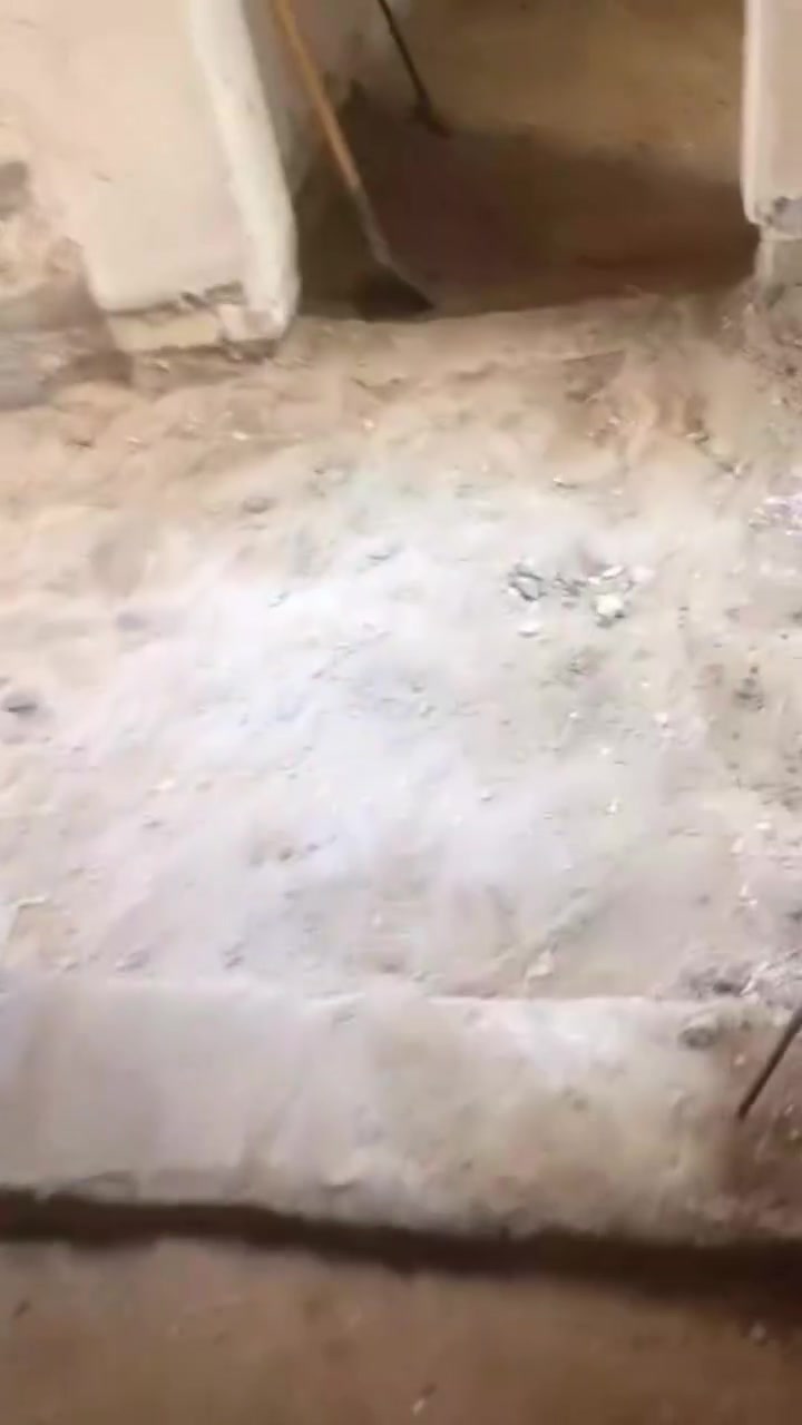 السلام عليكم كادر عمل لكافه الاعمال الحره من صب منحدل من تنظيف قلع الستايل بنيان ترميم البيوت بالكامل اللي يحب يتواصل على الواتساب ***********
