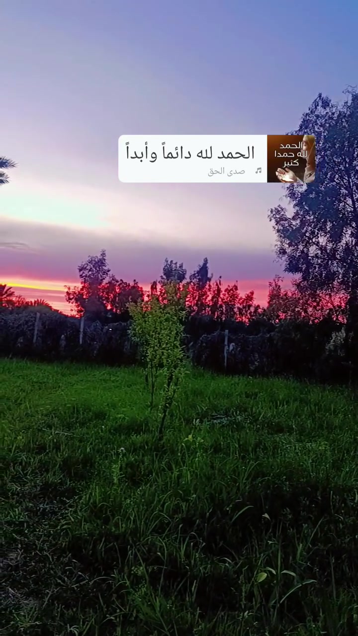 السلام عليكم قطعه ارض 500 متر للبيع صنف القطعه وقف كل الخدمات موجوده مي اساله وكهرباء وشارع 8 متر الموقع الشيخ حمد نزله جميل ويس السعر 16 قفل ***********
***********
