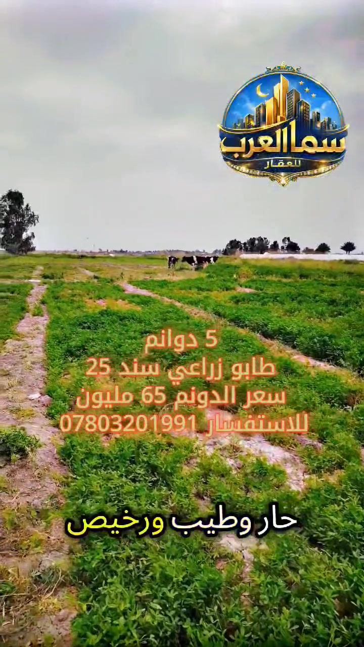 عرب جبور • ٥ دوانم • سند ٢٥