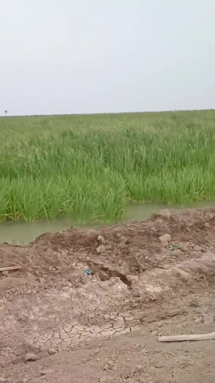 100 دونم طابو ملك صرف بأسمنه تحويل مباشر سعر مناسب محافظة ديالى باقي تفاصيل خاص او اتصال رقم ***********
