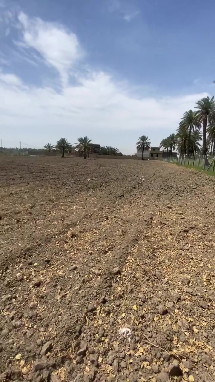 الجمجمه الجنوبيه • مقاطعه ١٤ • ٣ دوانم