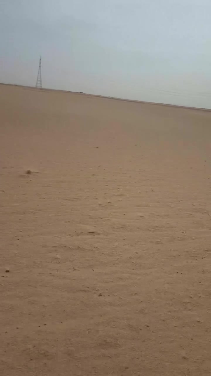 أرض زراعي ٧٥ دونم • كربلا شارع الستراتيجي • معمل ثرمستون