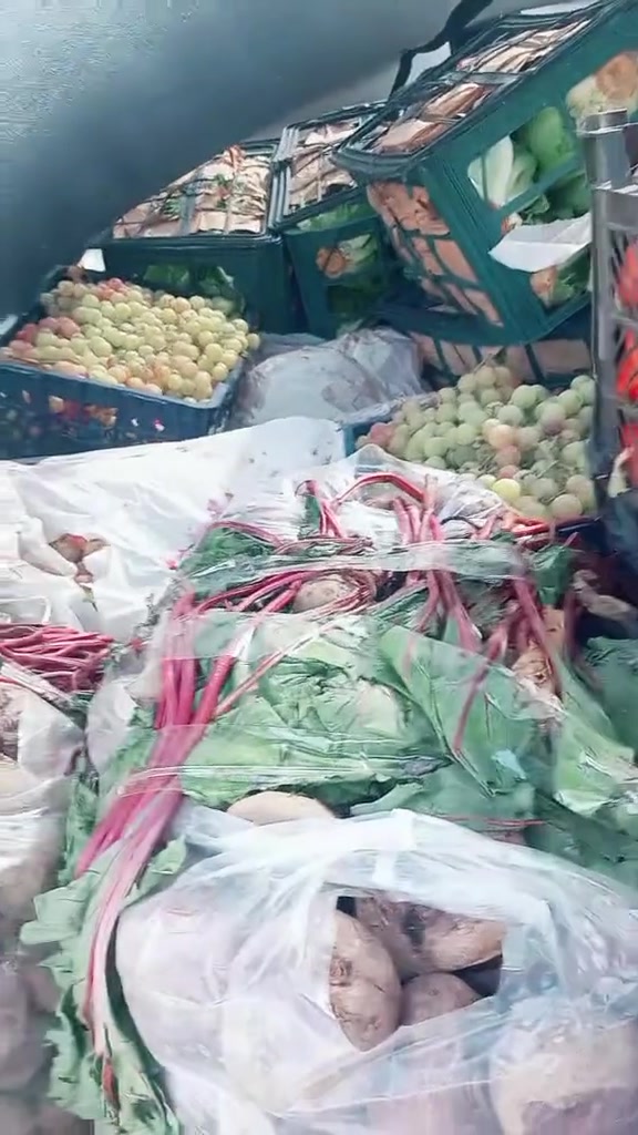 علوة الحقلانية • تشكيلة • توصيل