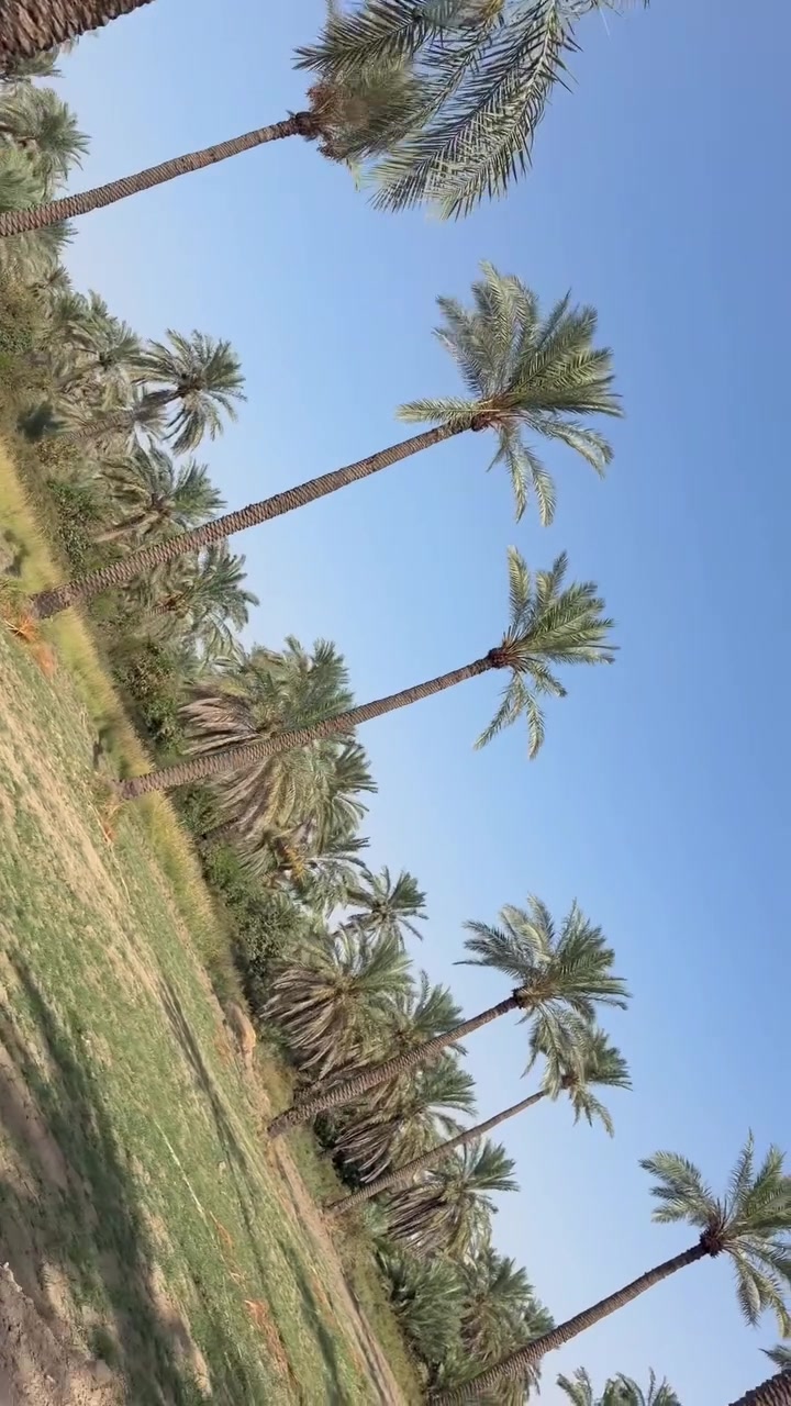 المدائن الجعارة • دونم • طابو ملك صرف