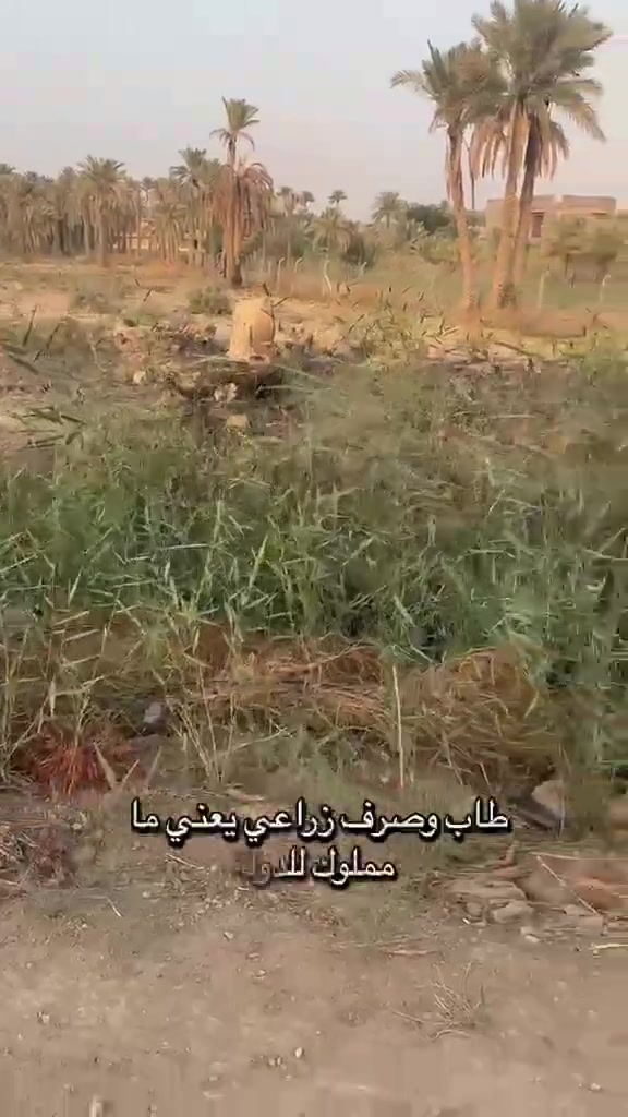 الحلة • دونمين • واجهة ٤٥م