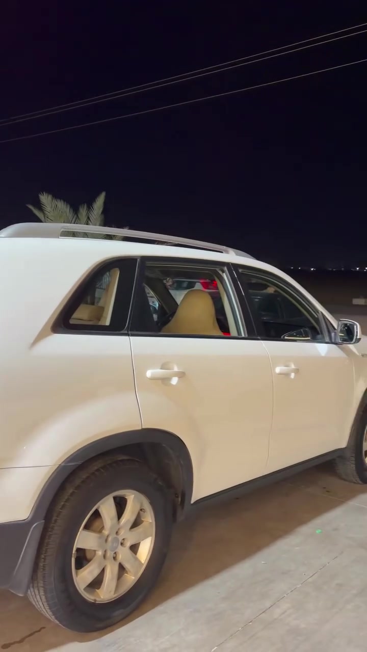 سورينتو • ٢٠١٢ • مالك واحد