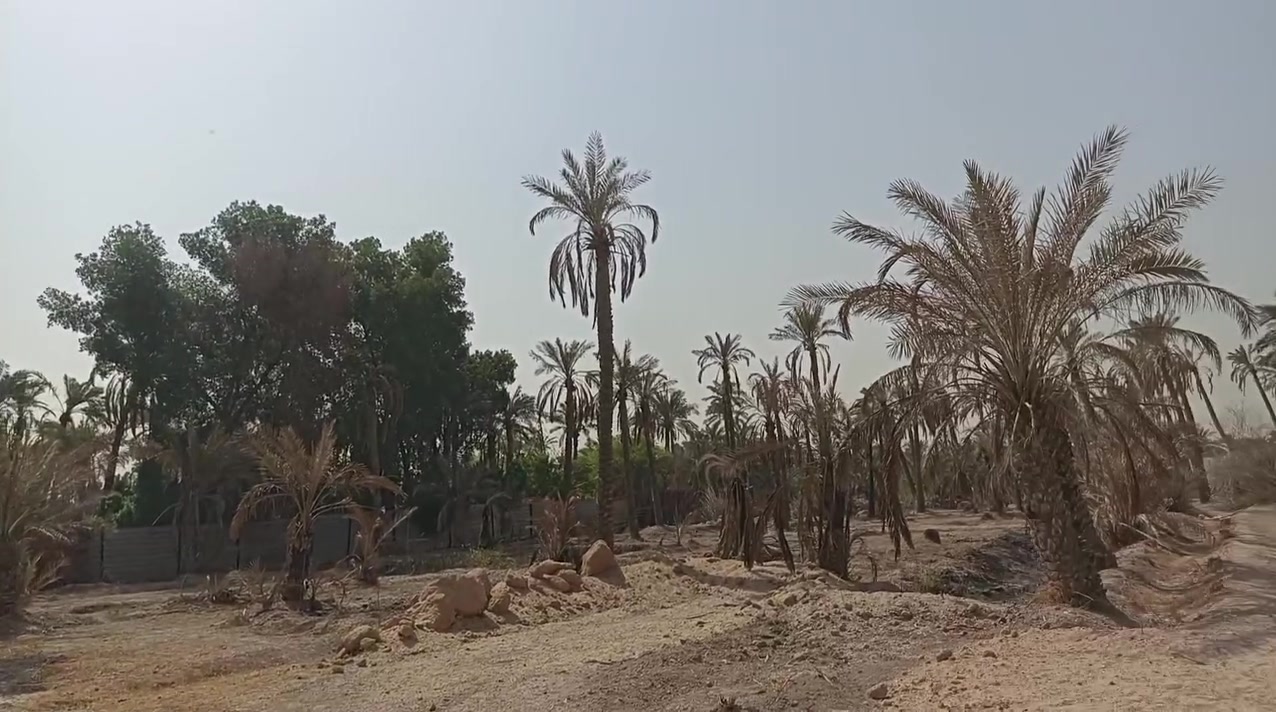 حمدان الرومية • ١٥٠٠م • وقف سني