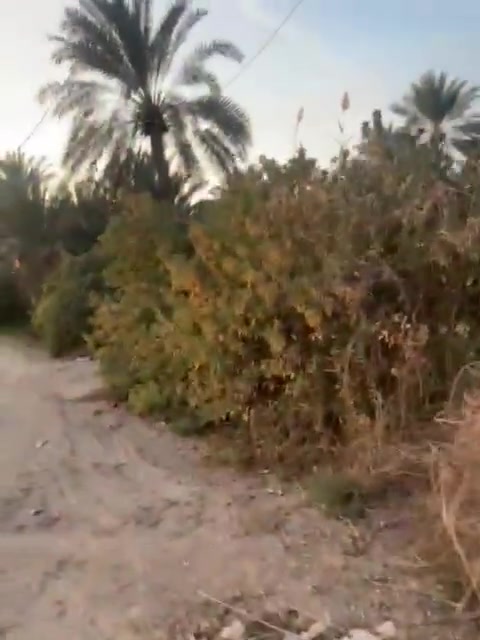 ٢ دونم • ملك صرف • واجهة ٤٤م