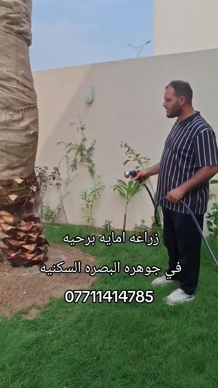 تجهيز حدائق • البصرة أبي الخصيب • أبو أمير