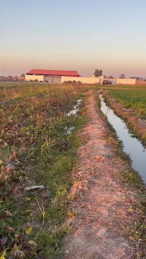 ١٢ دونم • طابو زراعي • سند ٢٥