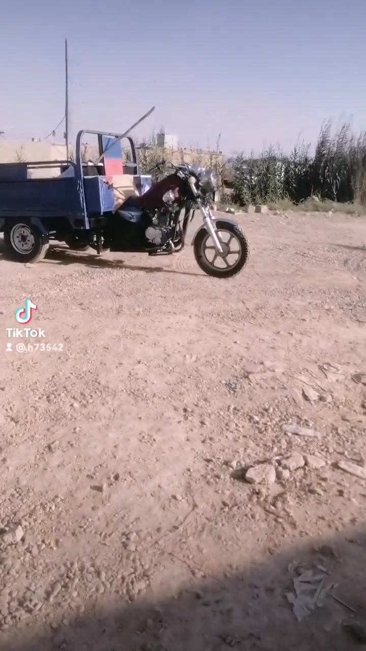 ستوته • موديل ٢٣ • أوراق اصولي