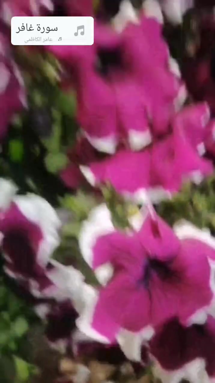 تقليم أشجار • زراعة ورود • حش ثيل