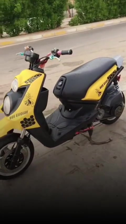 سكنس جبلي • موديل ١٣ • مراوس