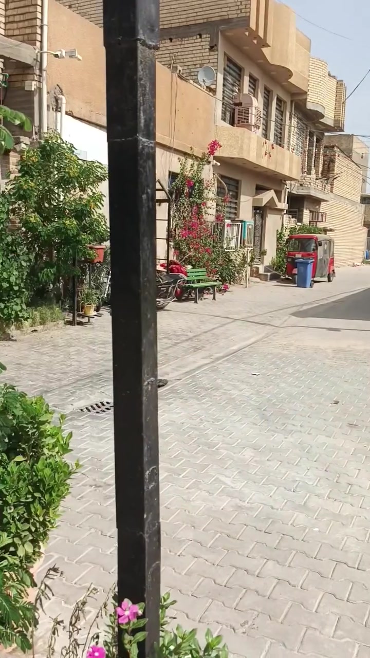 الدوانم • شارع ابو موسه • ٥٠م
