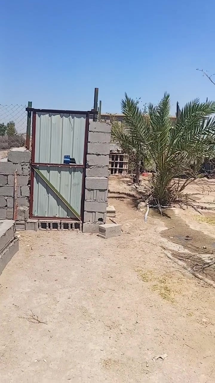 سلام عليكم للبيع كاع المساحه نص دونم وبي محميه ومزروع سدر العنوان زبير دواجن قرب سيطرة البحرية الاتصال برقم ***********
