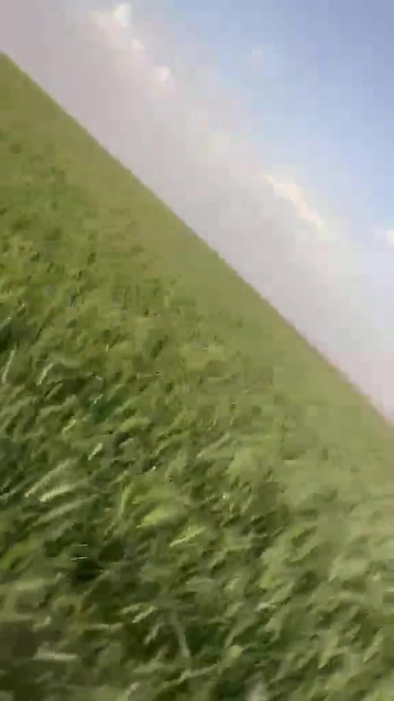 سلام عليكم مزرعه للبيع ٣٠٠ دونم السماوه فوق من صيطرة ال بطاح مزرعه جاهزه حاليآ بيه مكينه وبير وغطاس كهرباء موجوده خمس
ميت متر بس ماساحب  للإستفسار ***********
او *********** 
سلام عليكم مزرعه للبيع ٣٠٠ دونم السماوه فوق من صيطرة ال بطاح مزرعه جاهزه حاليآ بيه مكينه وبير وغطاس كهرباء موجوده خمس
