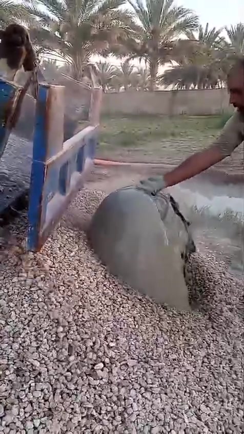 حفر ابار***********
_________*********** 
حفر ///اليا  🚜*********** 
__*********** _______________________________
مستعدون لحفر الابار وثقوب الشوارع
 اليا🚜_ ويدوي🚹
 {وتسريب مياه الامطار والمخازن}
 في كل محافظات العراق
 بأنسب الاسعار
 شغل مضمون100% 
للأستفسار..
《راسل الصفحه او اتصل على الأرقام》↘️
●●●●●●●
***********
