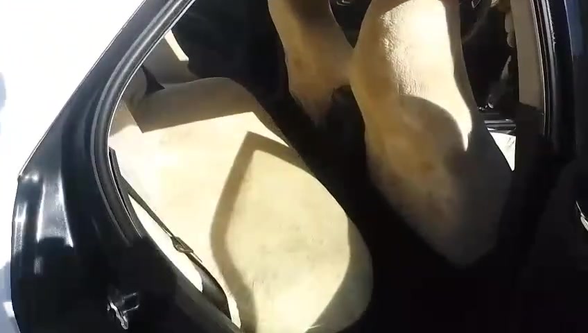اسلام عليكم للبيع ادوات محرك كير شرط صدر زين كهربائيات شغاله وجاهزه نيضفه حيل تبريدها شغال اسعر38ومراوس افانتي كيه ريو يرهم هاتف ***********

