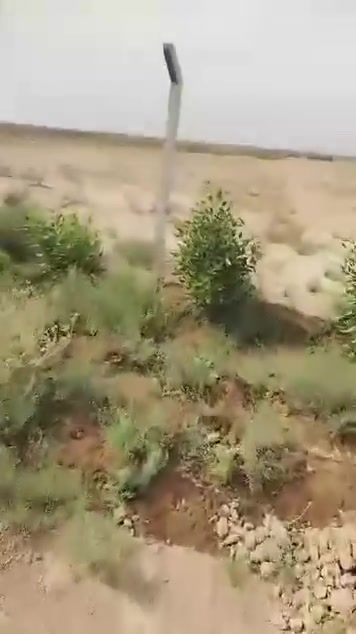 الصويرة • ٣ دونم • سند ٢٥