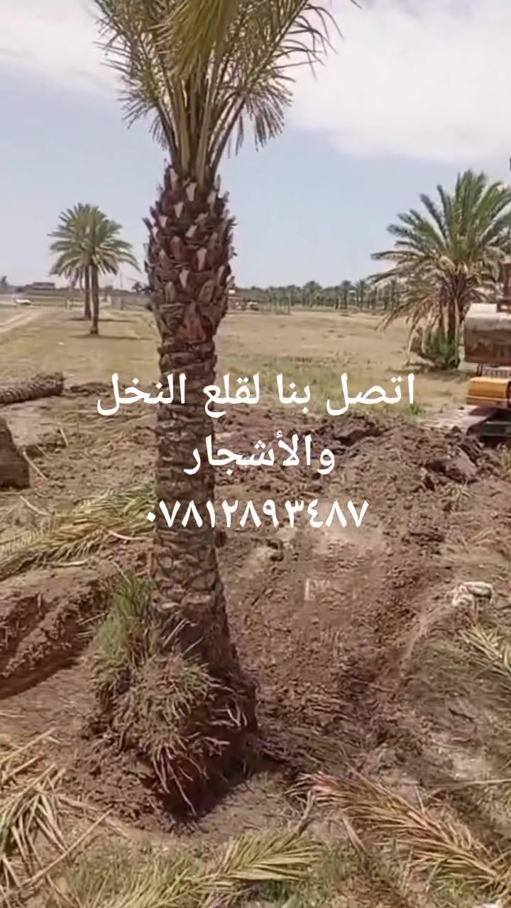 بستنة • تنسيق جنائن • قص عشب