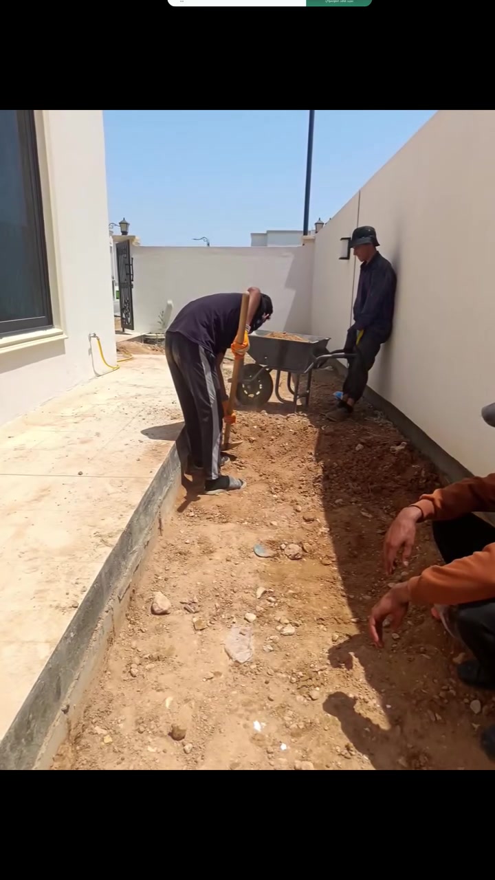 يوجد لدينا تراب مال سده درجه اولى شرط الفحص واصل جميع احياء كربلاء تجهيز كافه الحدايق والمجمعات السكنيه اسعار تنافسيه

لسنا الوحيدين لكننا الأفضل

*********** / واتساب 
***********
