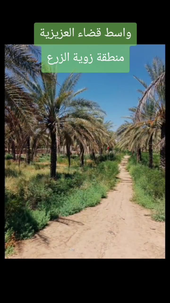 يا الله
٥ دونم للبيع 
طابو سند ٢٥ زراعي 
وجه شارع تبليط 
واصل مي وكهرباء وكذلك حصه مائية 
الوجه اكثر ٤٥م ونزال على طول
الموقع 
واسط/ قضاء العزيزية/ زويه الزرع
مثل ما موضح بالصورة به نخل مثمر 
وكذلك تحويل مباشر باسمك بالطابو 
يعني سند باسمك  ٥ دونم 
للاستفسار أكثر
مراجعة مكتب دار السلام
 بحي الموظفين
 او الاتصال 
ابو حيدر 
***********
***********
ابو حوراء 
***********
***********
