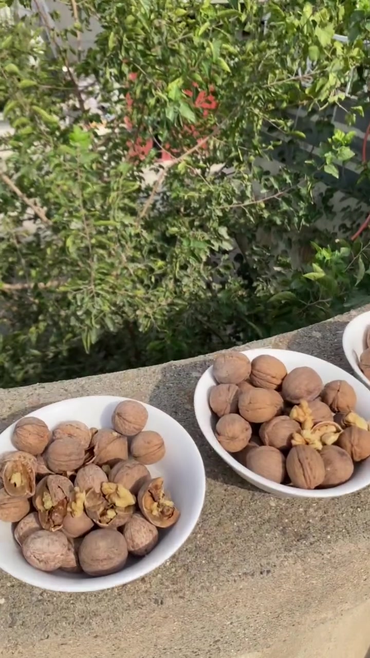 منزلية • مكسرات • أنواع منفصلة