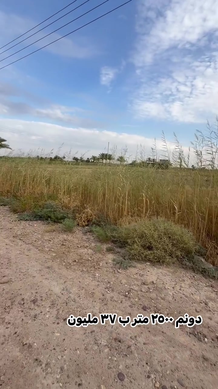 ٤ دونم للبيع 
متابعة للحساب بلا زحمه 🩷 

موقع الأرض التاجي ذراع دجله 

جبها الدونم ٥٠ متر ونزال ٥٠ متر 
كامل الخدمات 

للاستفسار ***********
