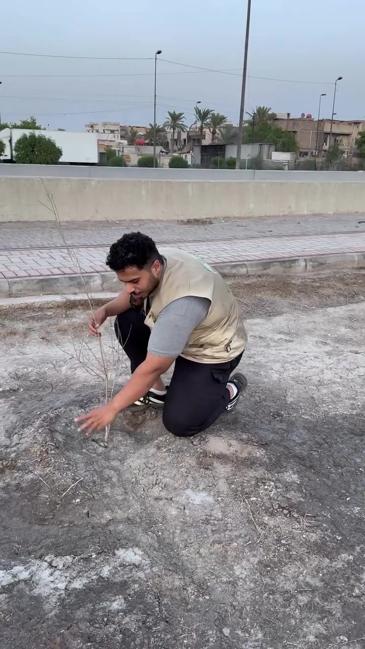 بكج نباتات • حماية من الصدمة • مغذيات شاملة