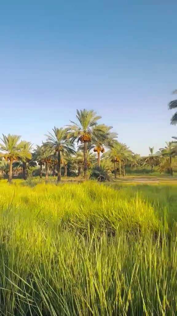 فرصة استثمارية مميزة للبيع في المدائن – منطقة الجعارة
قطعه أرض بمساحة دونمين، وجه الدونم الواحد 23 متر، وتباع حسب الطلب (دونم واحد أو دونمان حسب رغبة المشتري).
📍 الموقع: المدائن – الجعارة
تبعد عن الشارع العام المدائن 1.5 وعن سده الجعارة 1.0
✅ موقع مناسب للاستثمار 
✅ واصل مي سقي وكهرباء تبعد عنها 100 متر 
للاستفسار والتفاصيل.***********
