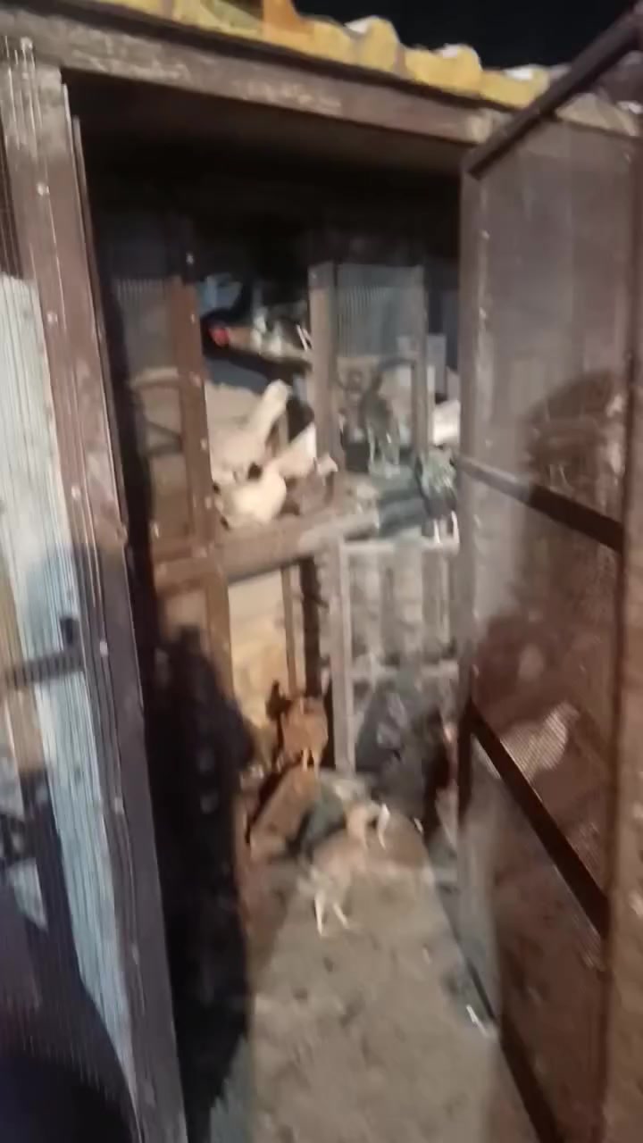 قفص للبيع
***********.  قلعه السكر
