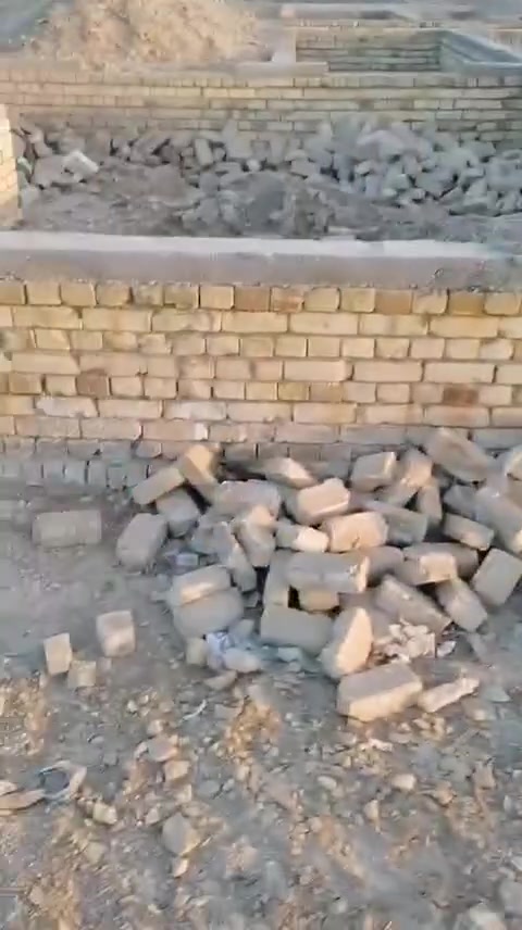 بتلو • زراعي • فيديو