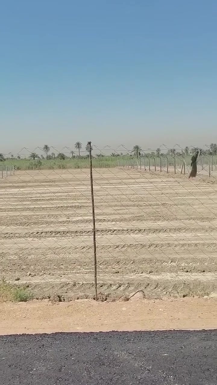 يالله اللهم صلي على محمد وال محمد قطعه للبيع مساحته نص دونم ١٢٥٠ متر سند ٢٥ كافه الخدمات موجوده تفاصيل أكثر داخل الفيديو العنوان كربلاء طويريج قرب سيطرت حي الصناعي للاستفسار *********** عقارات تاج القمه شارع أربعين مقابيل الطابو
