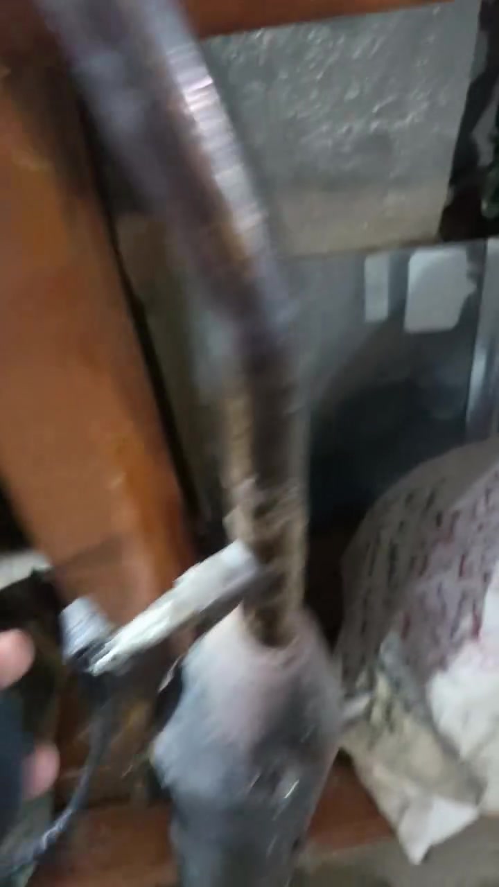 هاي السنه للبيع زائد كليتش سعر المناسب مال مستعجل اتصال على هذا الرقم

نص مكتوب في الصور:
- ***********