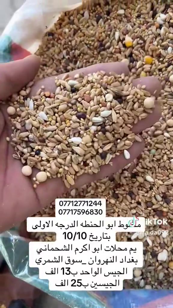 توصيل • داخل النهروان • سوق الشمري