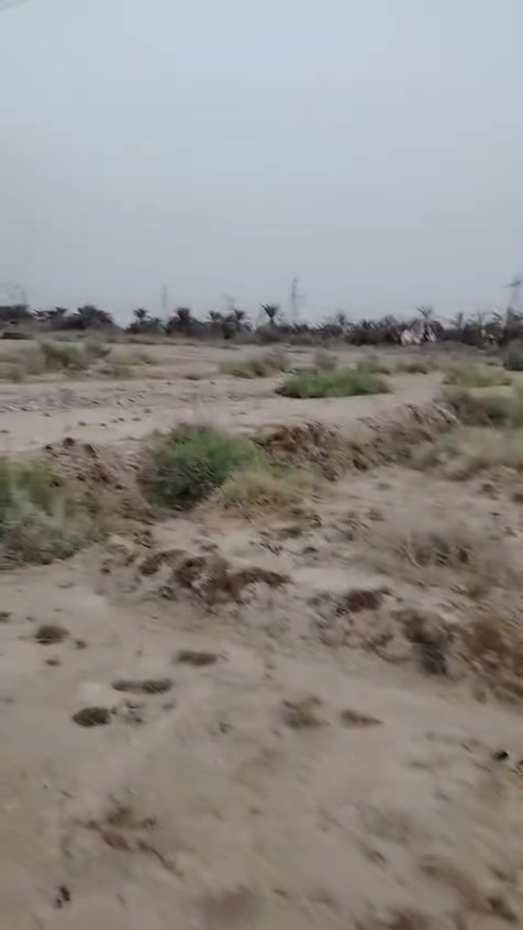 قريه السايح • طريق المشايه • ٤٠٠م زراعي