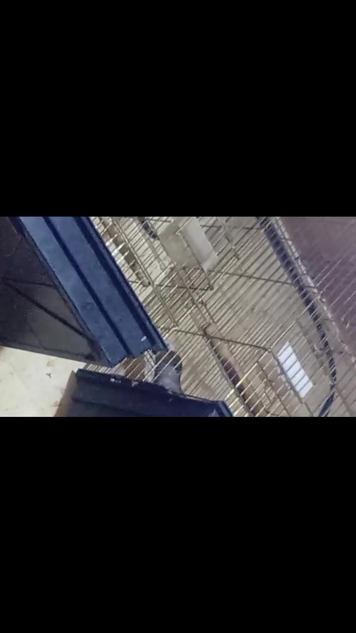كاسكو للبيع واضح كلامه بي كلمات /سيد مقتدى /السلام عليكم /كوكو راسك راسك /بوسه بوسه /منو بل باب /يا الله /ميو /تعال /الو /صباح الخير /وبي بعد كلمات ويلقط الكلمه ***********
