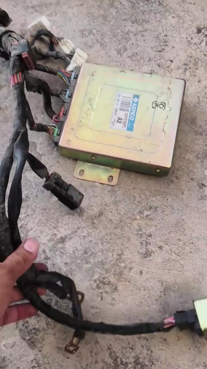 ضفيره + عقل سوناتا منغولي مكاني بغداد ناحيه الوحده موجود توصيل جميع المحافظات *********** واتساب
