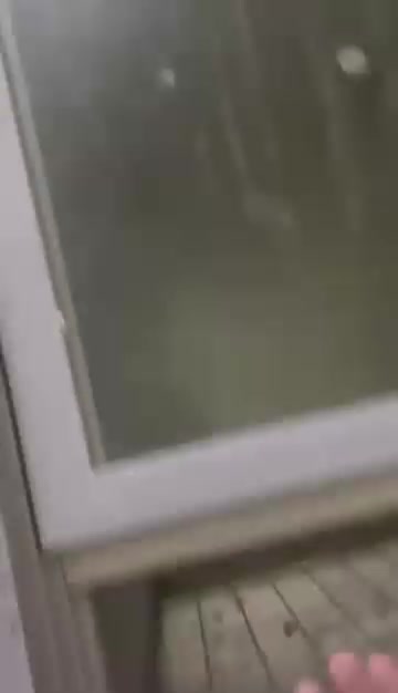 مجمدة • نضيفه • ٧ اشهر
