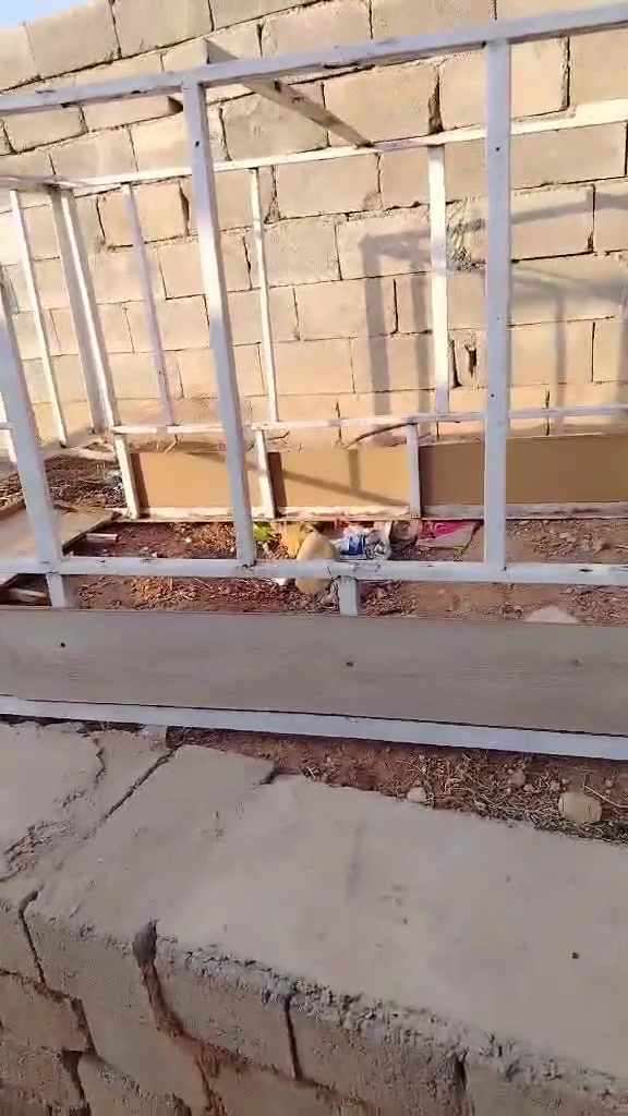 ستوته • محجل • الموصل