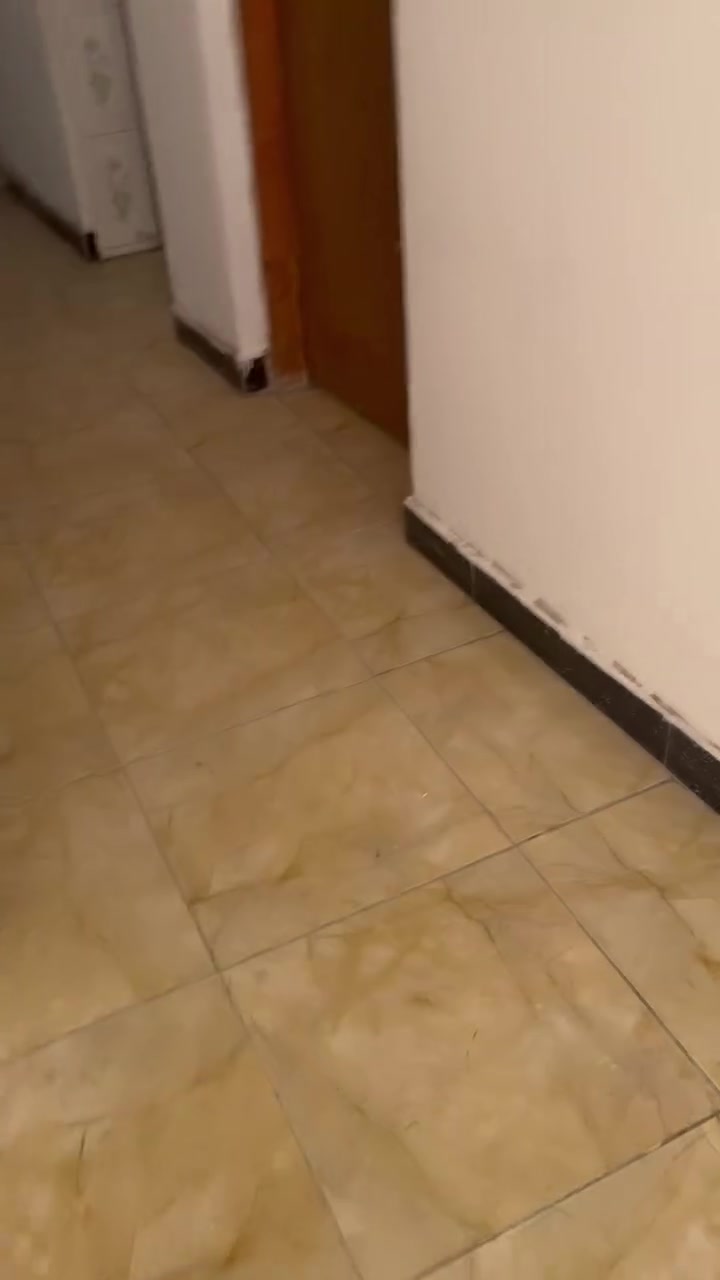 شقه سكنيه لليجار نضيفه شوف العين ايجارهه 300 طابق ثاني مكاني البلديات شارع الكهاوي ***********

