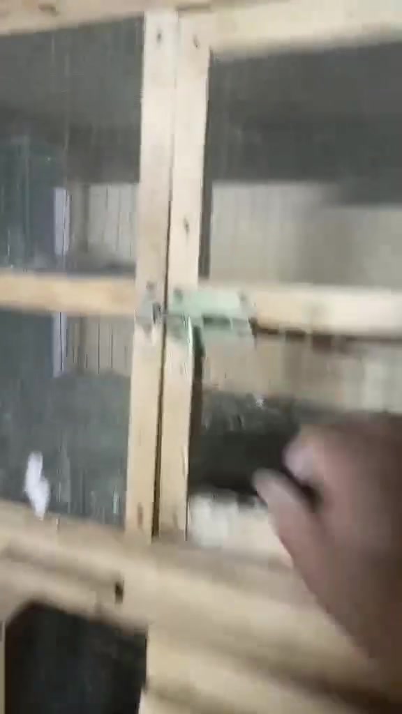 للبيع • الكوت