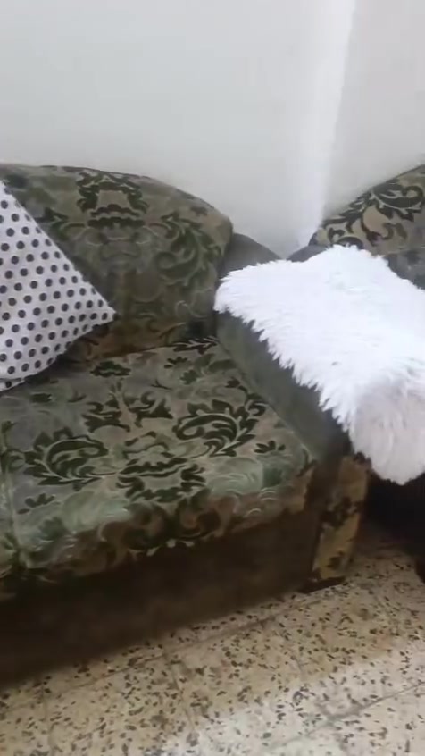 قنفات • بوتو • زراعي
